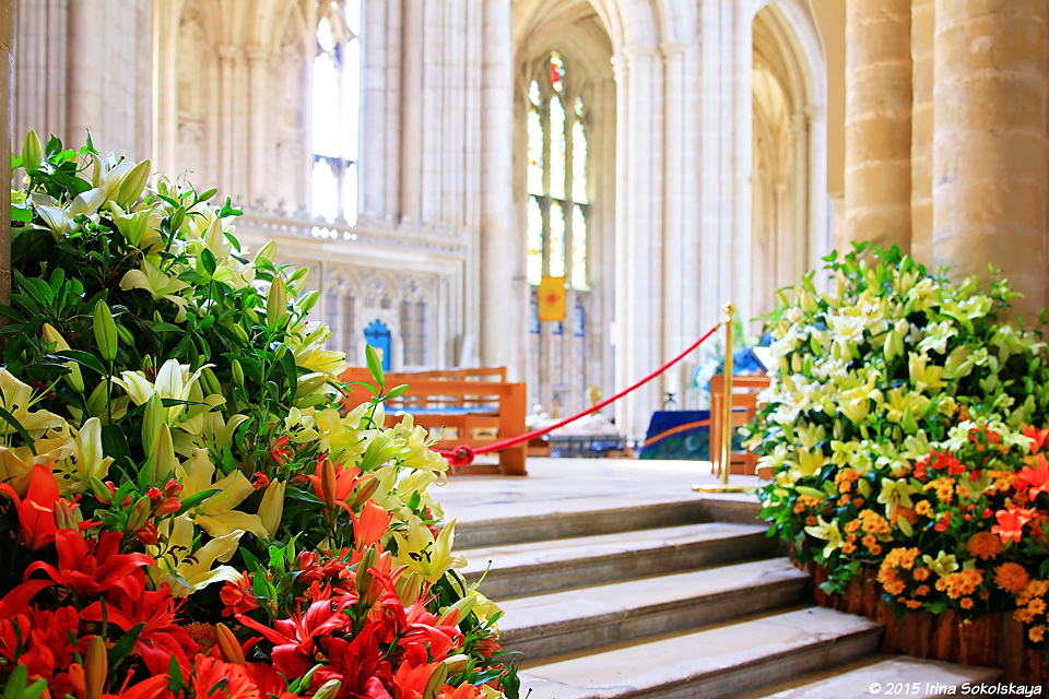 Фестиваль цветов Cascades, Уинчестерский собор, Англия. 