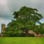 Замок Хайклер, графство Хэмпшир, Англия Замок Хайклер, графство Хэмпшир, Англия