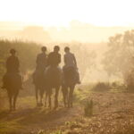 Котсуолдс Котсуолдс