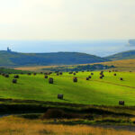 Скалы Семь Сестер, Восточный Сассекс, Англия. Скалы Семь Сестер, Восточный Сассекс, Англия.