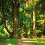 Национальный парк Новый Лес, графство Хэмпшир, Англия Национальный парк Новый Лес, графство Хэмпшир, Англия