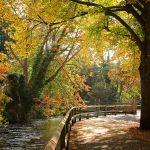 уинчестер уинчестер