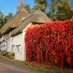 Английская деревня, графство Хэмпшир Английская деревня, графство Хэмпшир